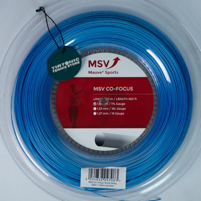 MSV Co Focus
