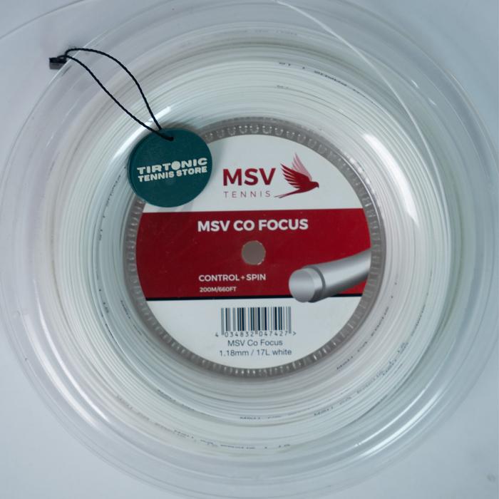 MSV Co Focus
